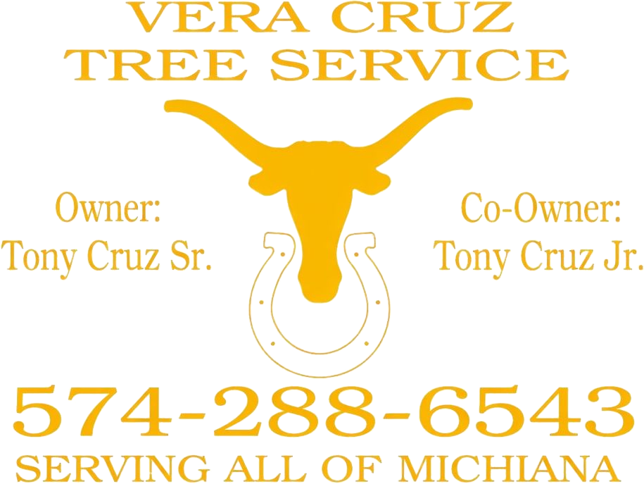 Vera Cruz Tree Service logo