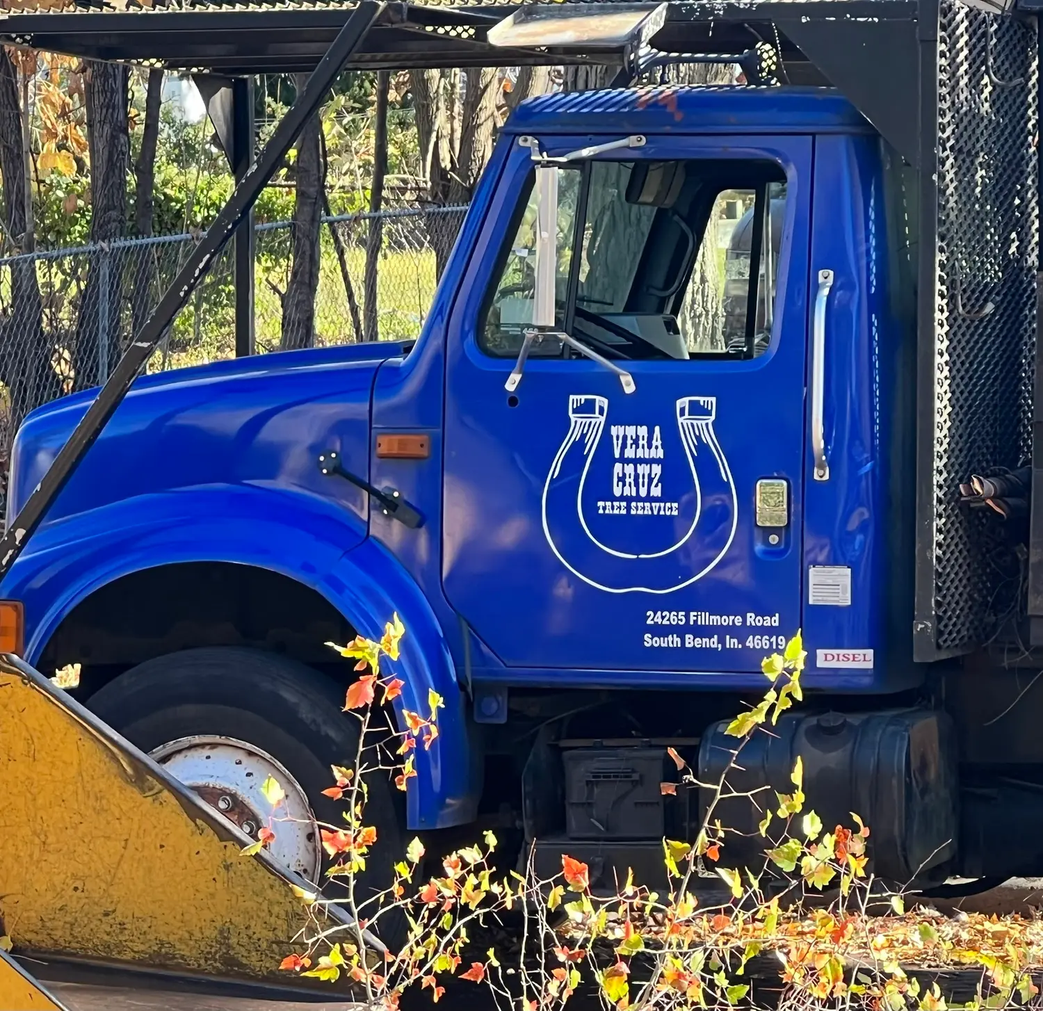 Vera Cruz Tree Service company truck at a job site
